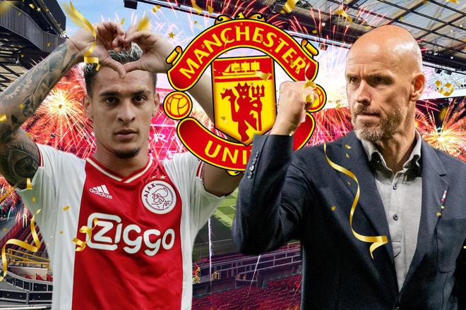 的声明表明 的声明表明