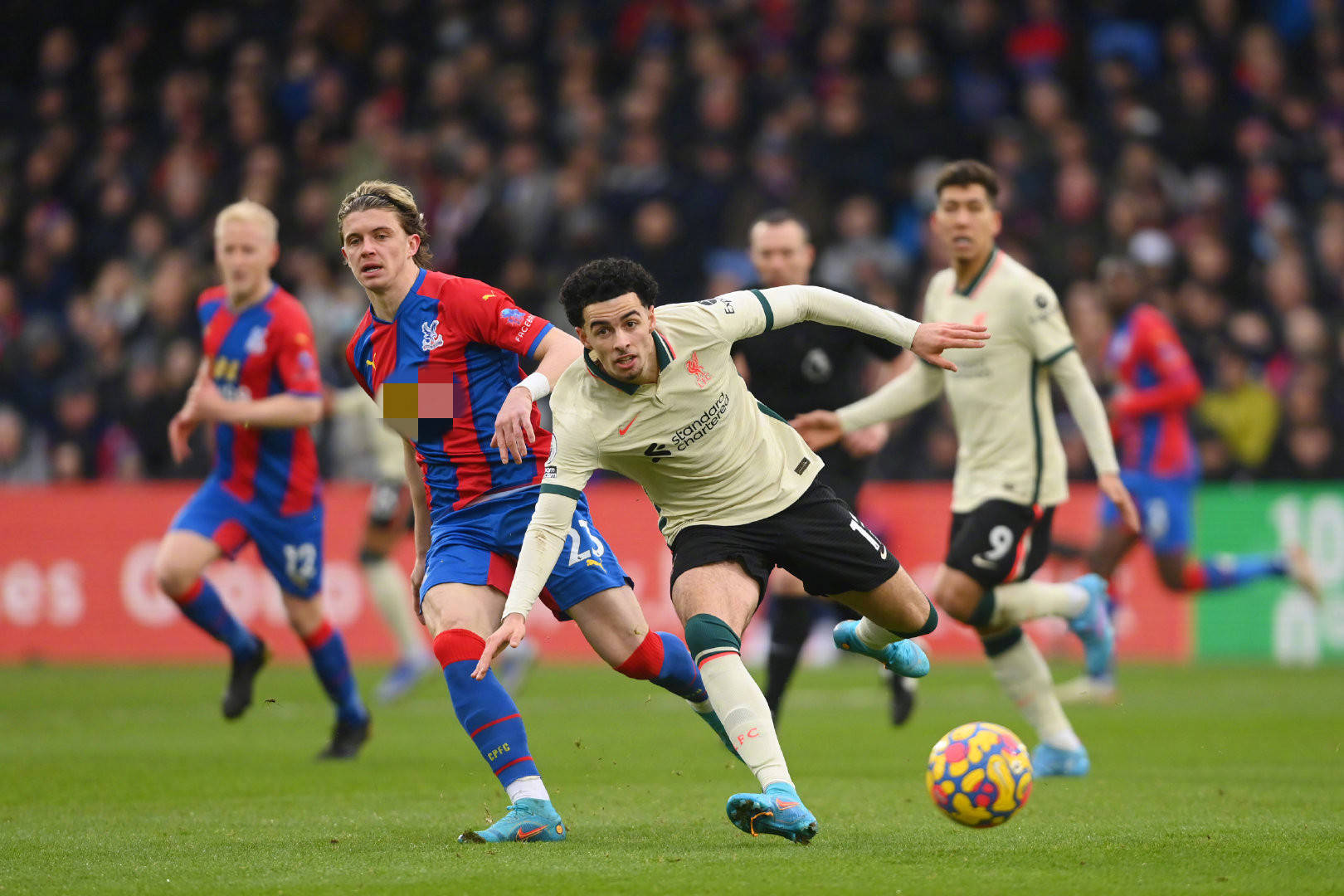 美国球迷纷 美国球迷纷